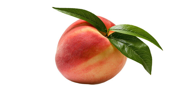Ripe peach with green leaves and red-yellow skin