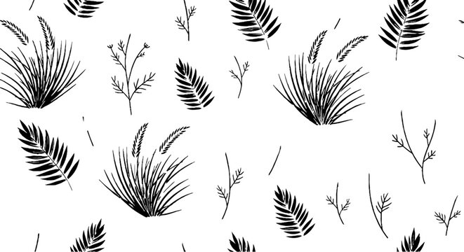 Black and white fern and grass illustrations.