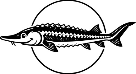  atlantic sturgeon © Muhammad