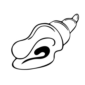 Elegant black line art of a spiral conch seashell. Ideal for luxury resort branding, beachside spa logos, summer stationery, and seafood restaurant menus.