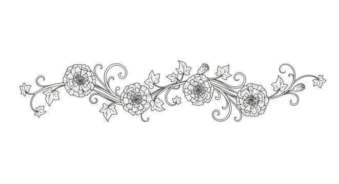 Horizontal floral border divider with line art flowers, vine swirls, and ivy leaves on a plain white background. Elegant botanical illustration for wedding stationery or adult coloring.