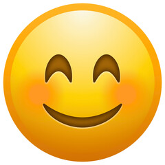 Blushing Smiling Face Emoji