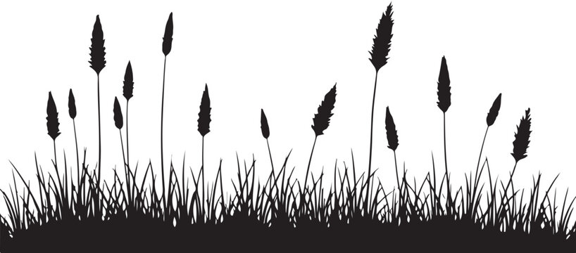 Black silhouette grass, cattail reeds, vector landscape border, natural scenery elements