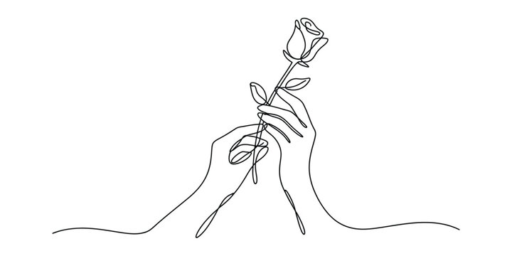 Hands holding a single rose flower in a continuous line art drawing style Vector, illustration
