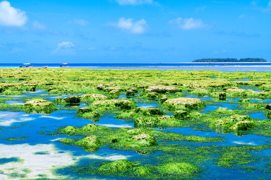 View on Indian ocean at the Zanzibar island. Mnemba island at horizon