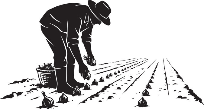 Man planting bulbs in a field, black silhouette farmer