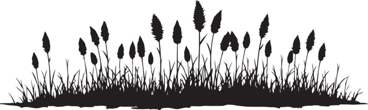 Black silhouette grass, cattail reeds, vector landscape border, natural scenery elements