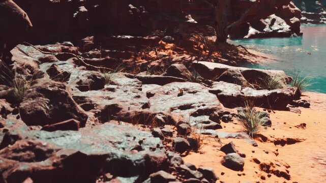 Bright sunlight shines on a rocky riverbank with patches of grass and plants. The clear water flows beside the stones, showing a natural landscape in a canyon.