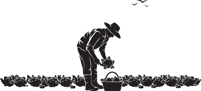 Silhouette of a farmer harvesting vegetables, with a overalls