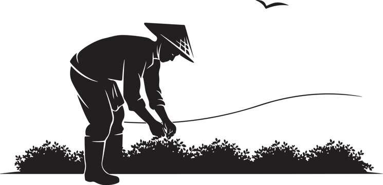 Silhouette of a farmer, bending over, working in a field