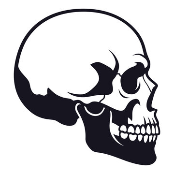 Black and white illustration of a human skull from the side  monochrome graphic icon