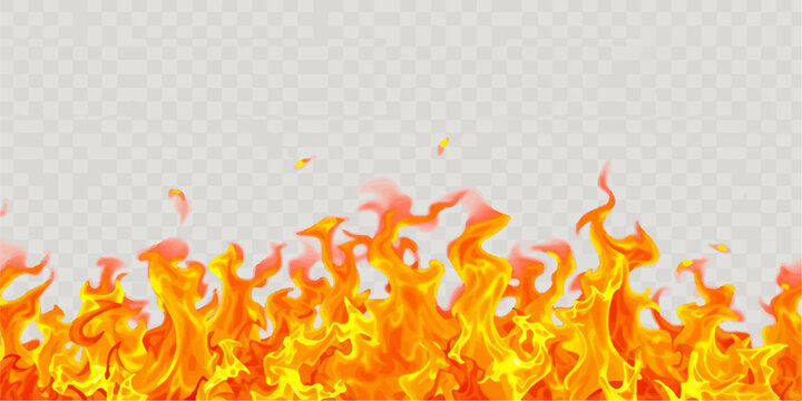 Abstract fire flames border design element on transparency with transparent background isolated combustion ignition abstract wildfire backdrop intensity conceptual composition elemental