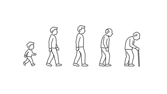 Human Life Stages Aging Process Outline Animation From Child To Elderly. From Childhood To Adulthood And Old Age. Human Development, Aging,  Longevity, And Demographic Concepts. 