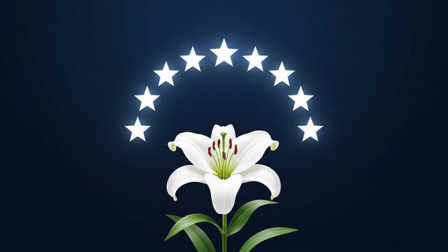 Religious Animation Featuring a White Lily Flower Bloom Below Eight Glowing Stars Symbolizing The Assumption of Mary