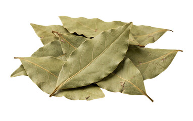 Fototapeta premium Cluster of dried green leaves isolated on transparent background