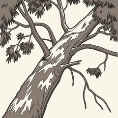 Illustration of a tree trunk with branches and leaves branches vegetation illustration © Faruk