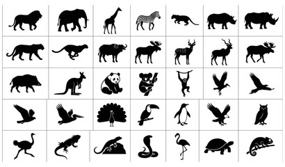 Fototapeta premium Minimal Black Wildlife Animal Silhouettes Vector Icon Collection Isolated on White