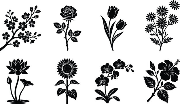 Art & IllustrationCollection of Elegant Black Flower Silhouettes and Floral Icons Isolated on White Background