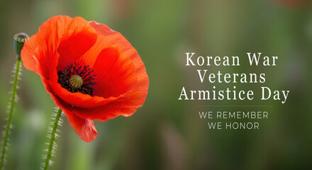 Red Poppy Flower Memorial for Korean War Veterans Armistice Day, We Remember and Honor Military Service and Sacrifice