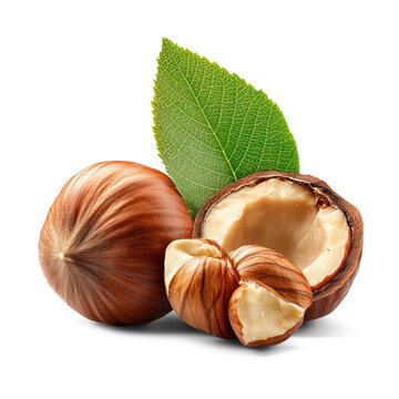 A close-up of hazelnuts, rich in vitamins and antioxidants. full length isolate on transparent background