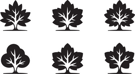 Obraz premium Six black tree silhouettes with varying leaf shapes on white background
