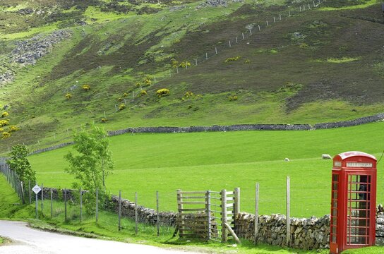 Telephone box in lonely green landscape, meadows and stone walls, Tongue, Highlands, Scotland, Great Britain