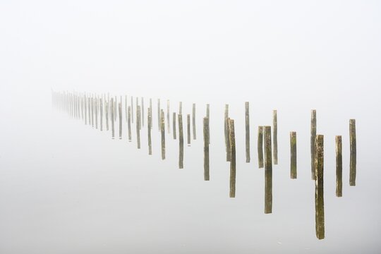 Anchor piles in the fog on autumnal Lake D&uuml;mmer, Lembruch, Lower Saxony, Germany