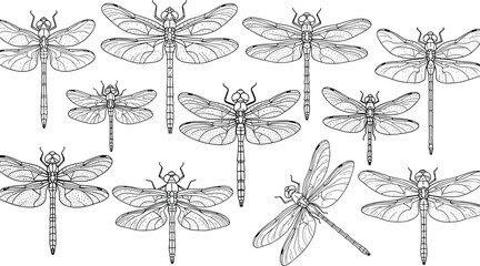 Hand drawn set of dragonfly insect sketches with intricate wing details for adult coloring book pages, nature tattoos, or vintage biological scientific wildlife illustrations. (25 words) © MdAbdur