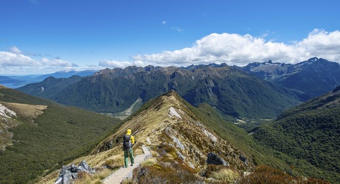 Hikers on hiking trail, views of Kepler Mountains, on the hiking trail Kepler Track, Great Walk, Fiordland National Park, Southland, New Zealand