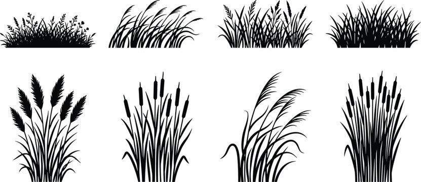 Black grass silhouettes and cattail reed tufts vector set isolated on white background