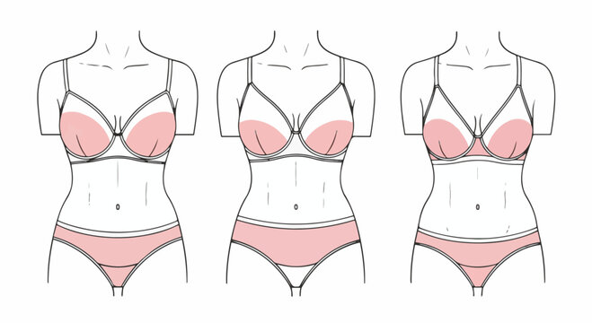 Set of three female torso vector illustrations showing different bust shape variations and bra fit comparisons, featuring pink and white lingerie sets on a white background.