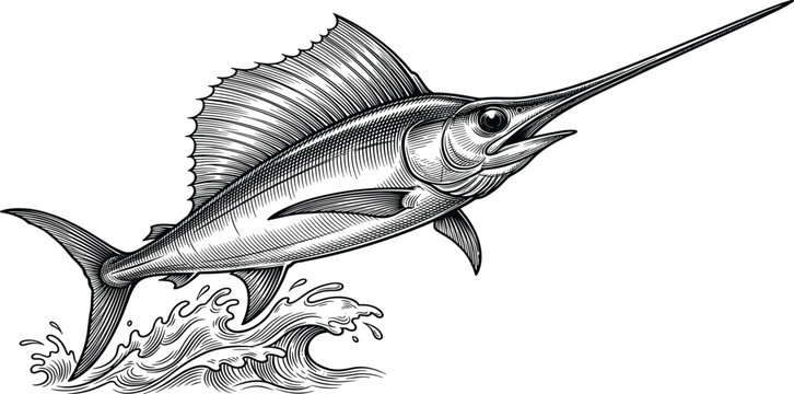 Vintage Engraving Sailfish Marlin Illustration Jumping Out of Water Splashing Waves Scratchboard Style Retro Marine Wildlife Graphic Element for Tattoo or Emblem
