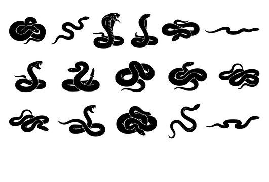Snake Silhouette Collection with Fourteen Realistic Reptile Poses Vector Illustration
