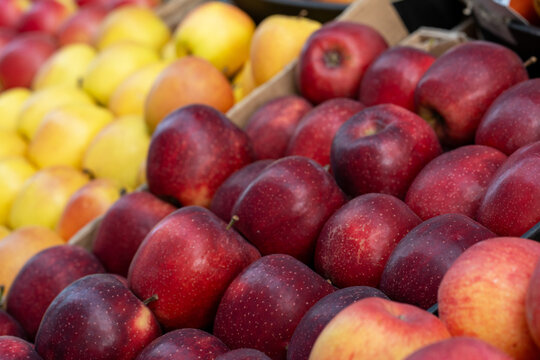 Red apples on a market stall. Yummy pile of apples in a market stall. Close-up	
