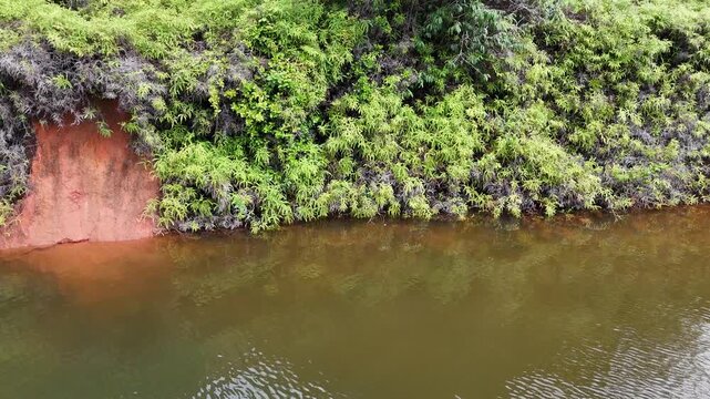 Aerial orbit around tropical island on Petit Saut Lake, French Guiana
