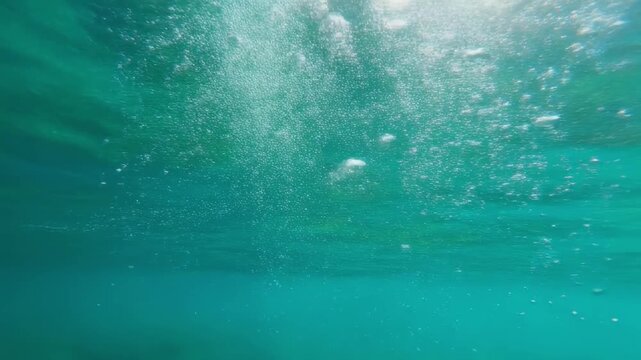 Underwater jellyfish swarm in turquoise ocean currents