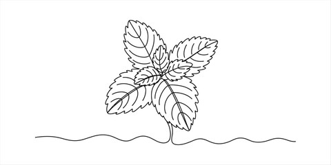 Continuous single line drawing of a fresh mint leaf sprig © DCB Line Stocker
