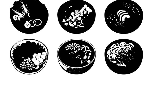 Collection of black and white medical or science microscope slides with different samples Vector