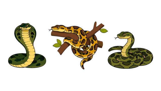 Cartoon snakes set with cobra and python on branch