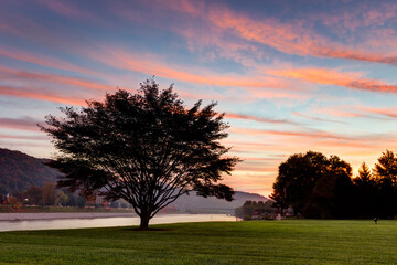Naklejka premium sunset in the park