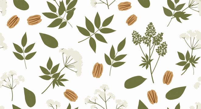 Assorted botanical leaves and pecan nuts illustration.