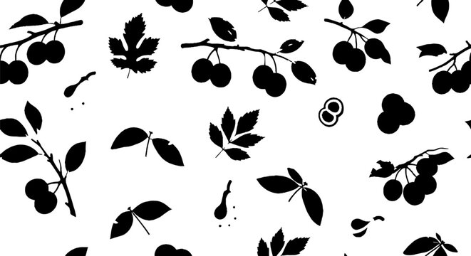 Black and white cherry branch pattern design.
