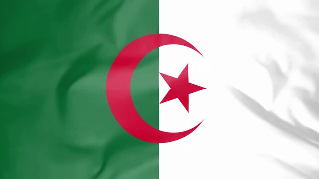 Waving algeria flag animated fabric texture close up background.