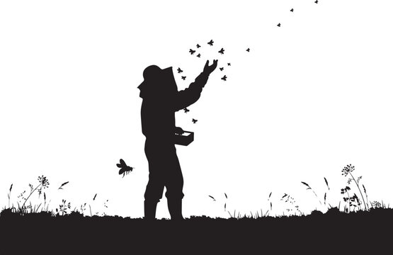 Silhouette of beekeeper releasing bees, standing in apiary