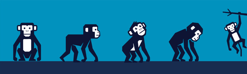 Illustration of monkey evolution from ape-like creatures to a modern monkey swinging from a branch. © Riki