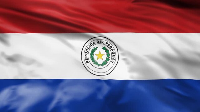 Paraguay flag waving motion background with national symbol.