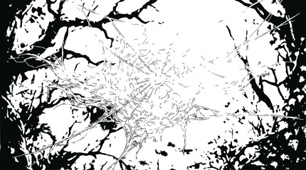 Fototapeta premium Abstract Black and White Spiderweb with Branch Silhouette Background