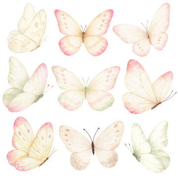 Watercolor Butterfly Clipart Set with Pastel Ivory Butterflies Isolated on White Background
