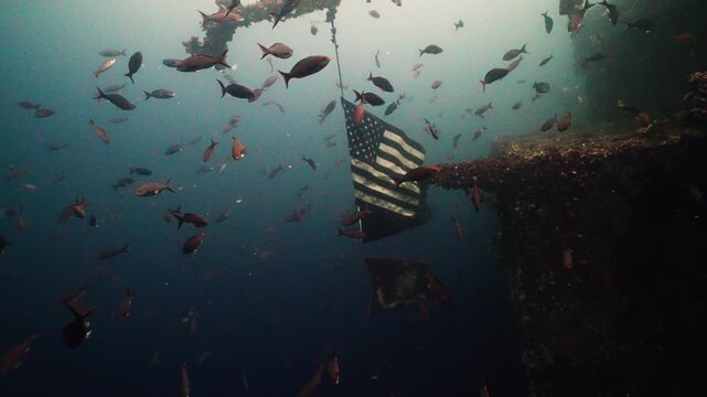 American Flag Hanging from Sunken Shipwreck Surrounded by Fish