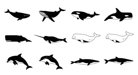 Black silhouettes of whales and marine mammal species. © Adera